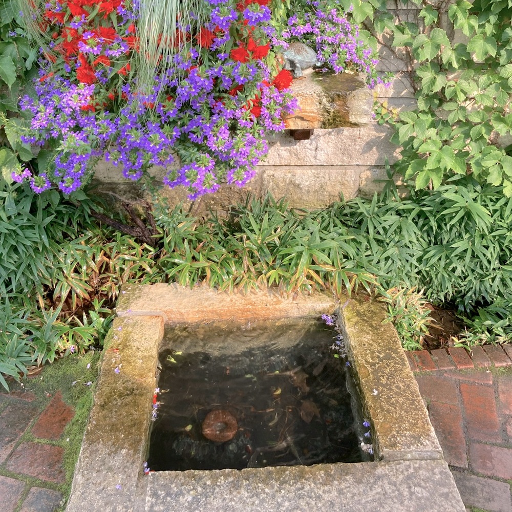 Meet your Posher, Colleen